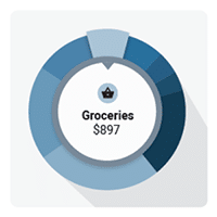 Interactive Spending Wheel Icon